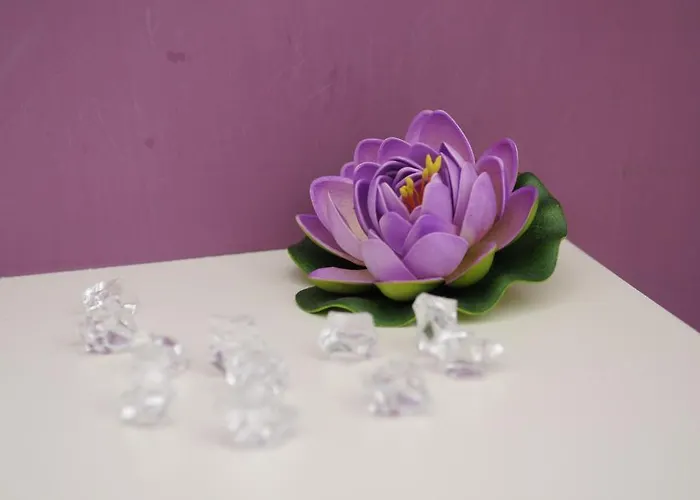 Magic Rainbow ベッド・アンド・ブレックファスト 3*